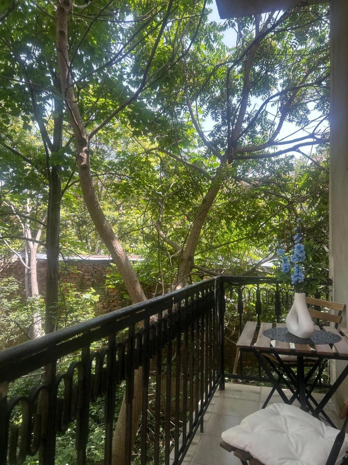 Pirotska Modern Διαμέρισμα *
